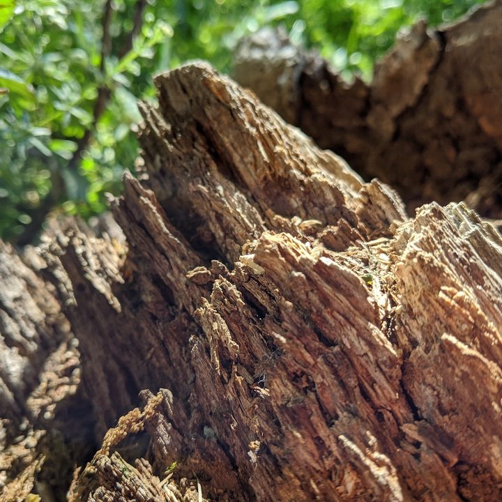 huawei p40 pro plus vs apple iphone 11 samsung galaxy s20 ultra google pixel 4 camera shootout close