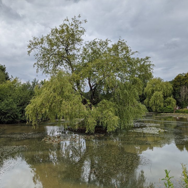 huawei p40 pro plus vs apple iphone 11 samsung galaxy s20 ultra google pixel 4 camera shootout pond