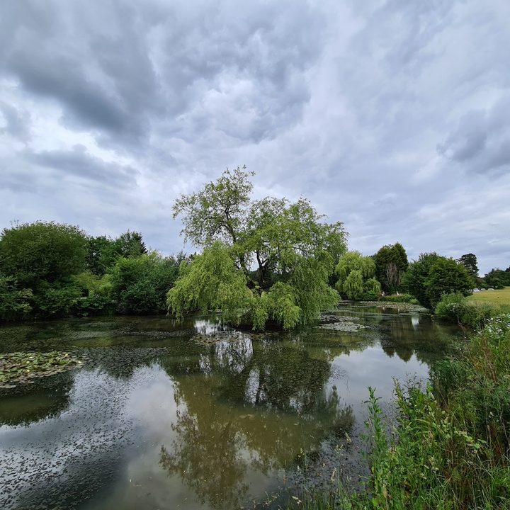 huawei p40 pro plus vs apple iphone 11 samsung galaxy s20 ultra google pixel 4 camera shootout pond