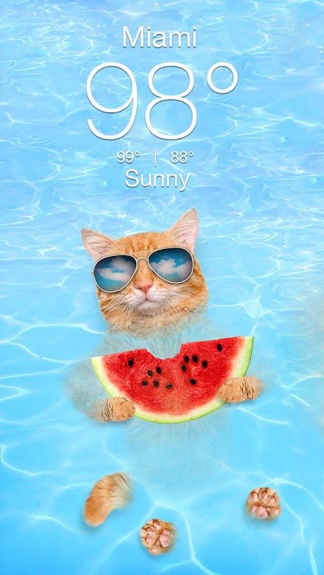 best weather apps android weatherkitty3