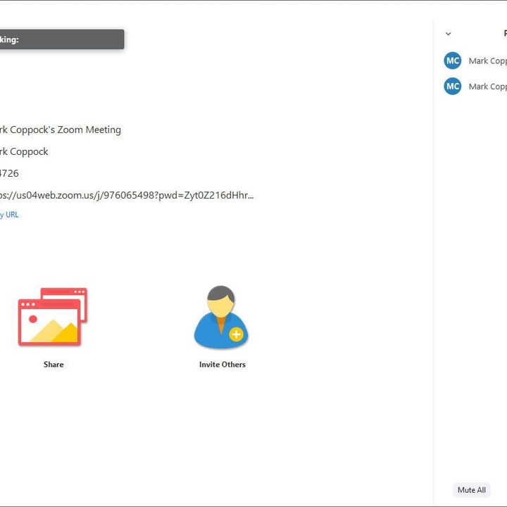 Image of Zoom Participants Menu