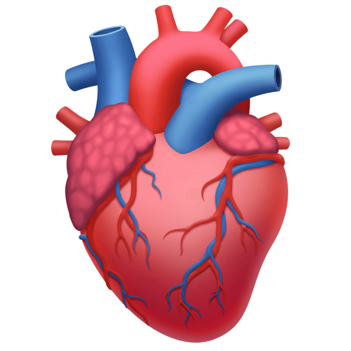 new apple google emojis revealed 2020 anatomicalheart