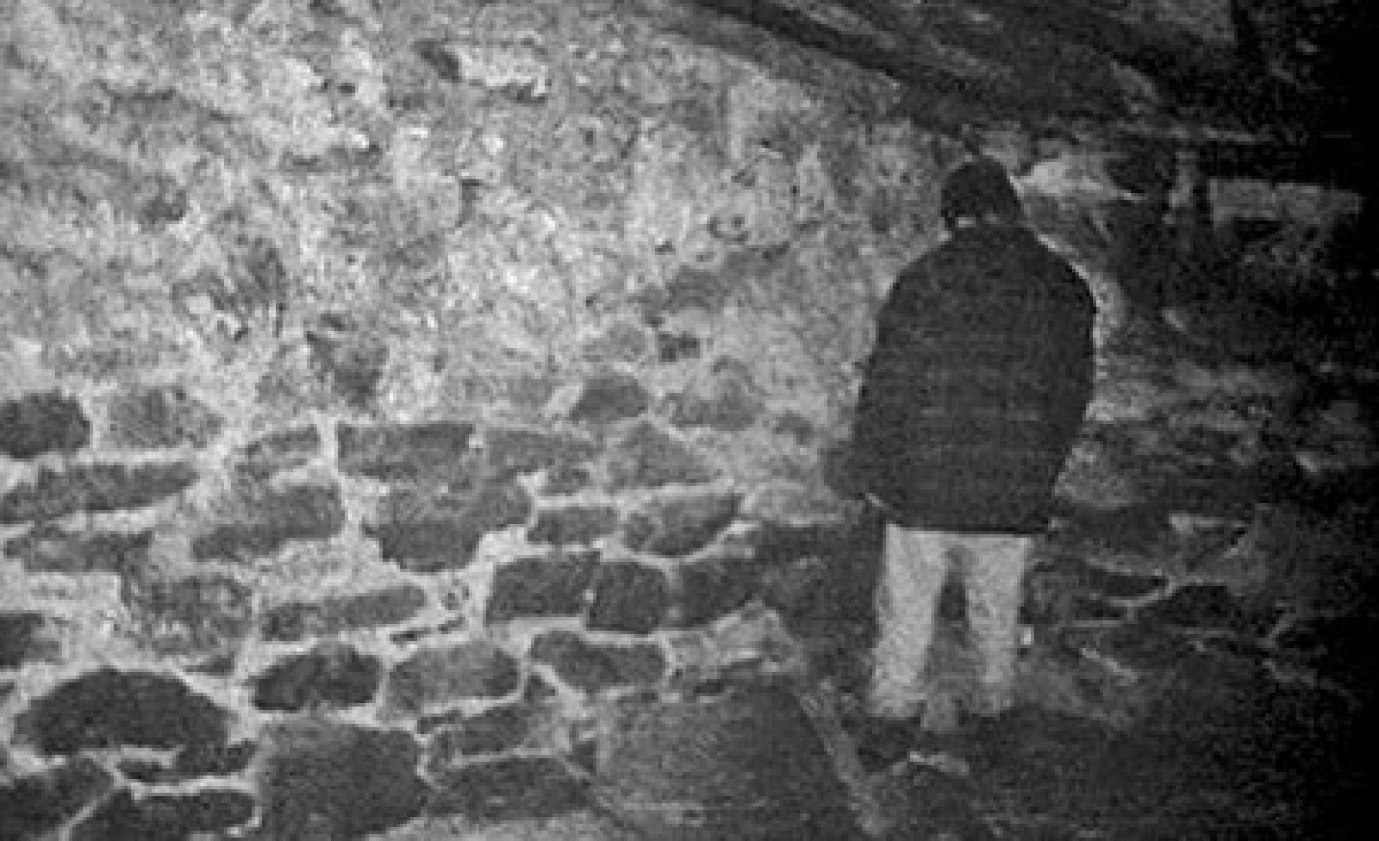 A man staring at a wall in "The Blair Witch Project."