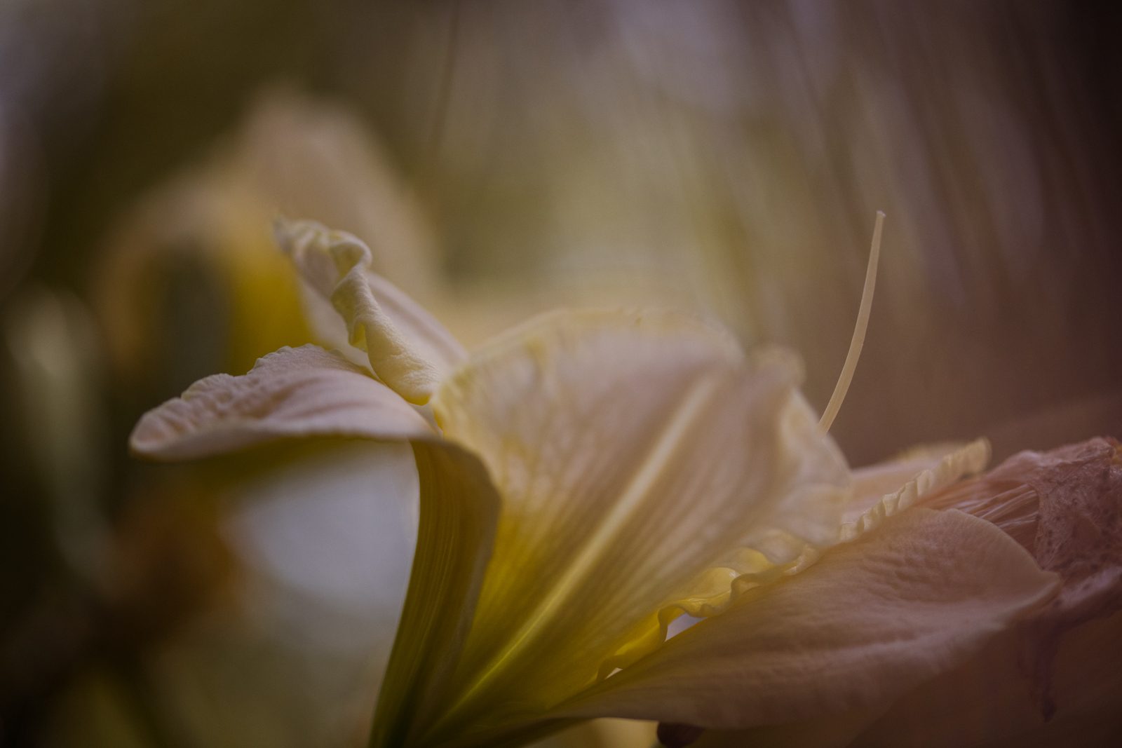 lensbaby omni filter system hands on impressions review 0703