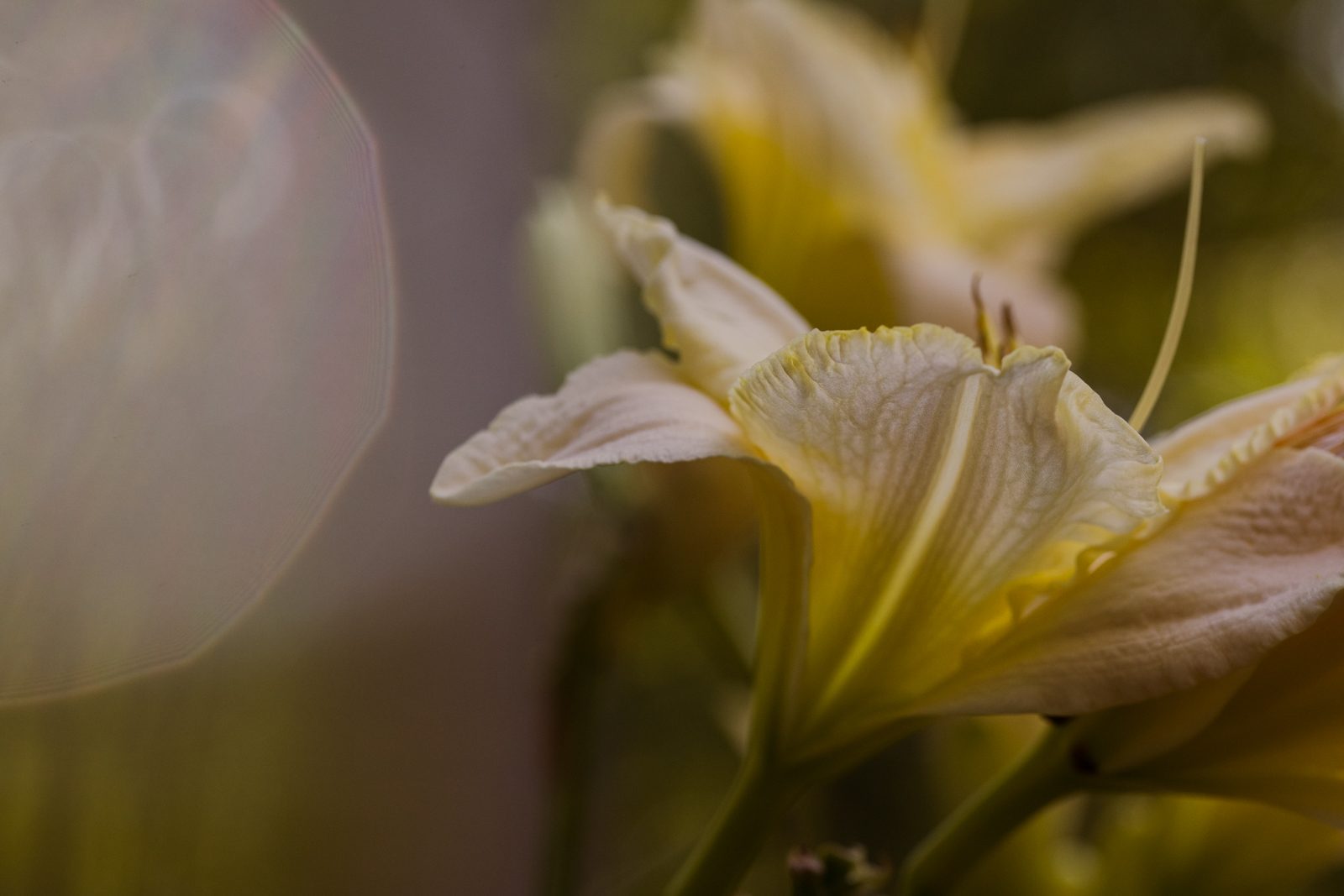 lensbaby omni filter system hands on impressions review 0766