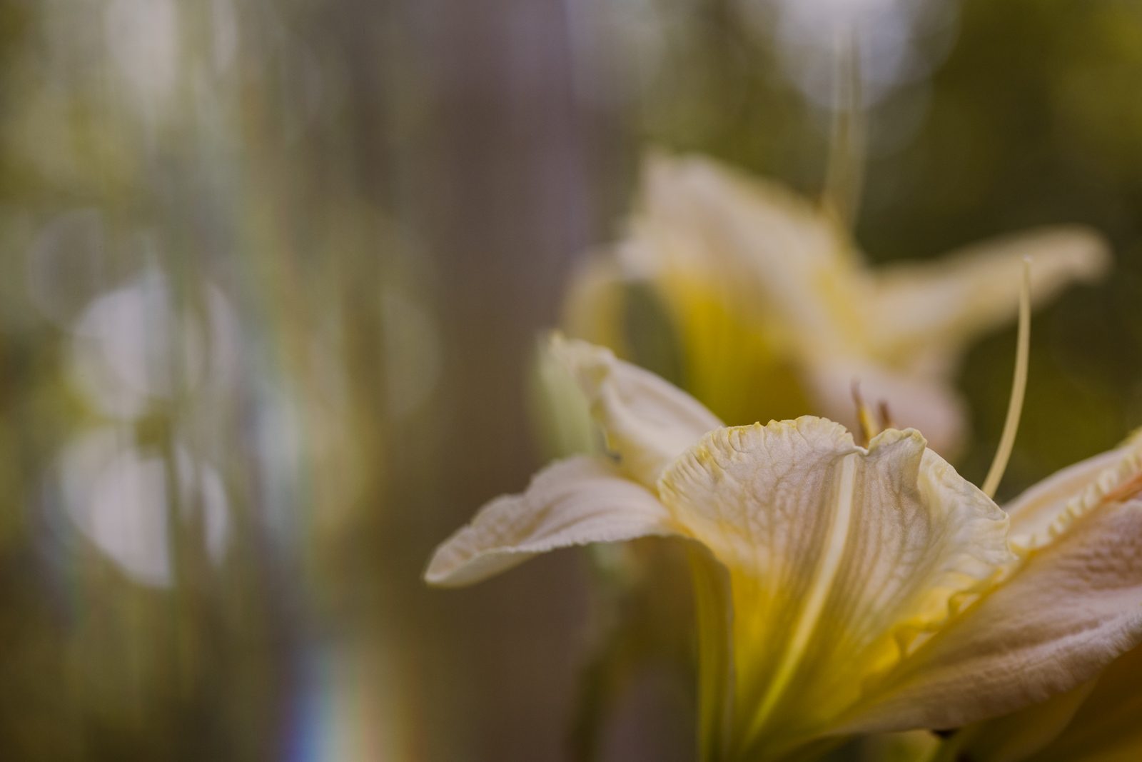 lensbaby omni filter system hands on impressions review 0795