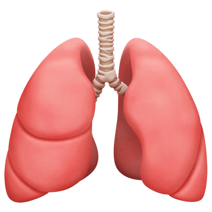 new apple google emojis revealed 2020 lungs