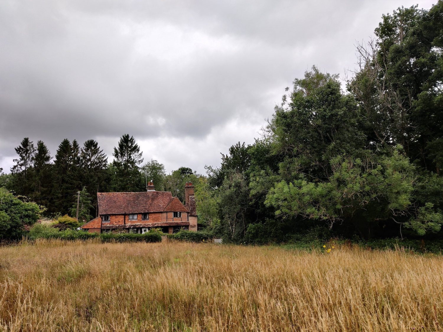 oneplus nord review house