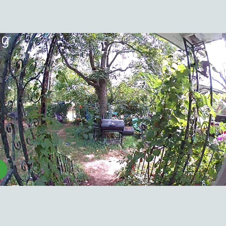 Ring Video Doorbell 3 live video on app.