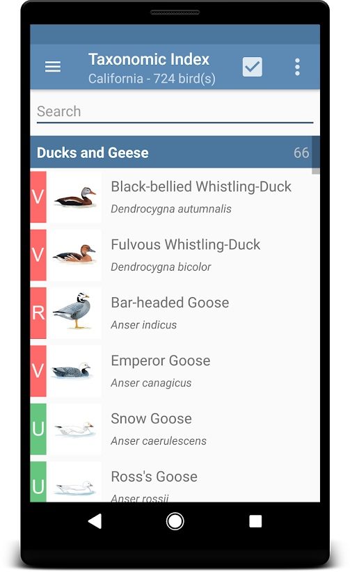 the best bird identification apps for ios and android sibley1