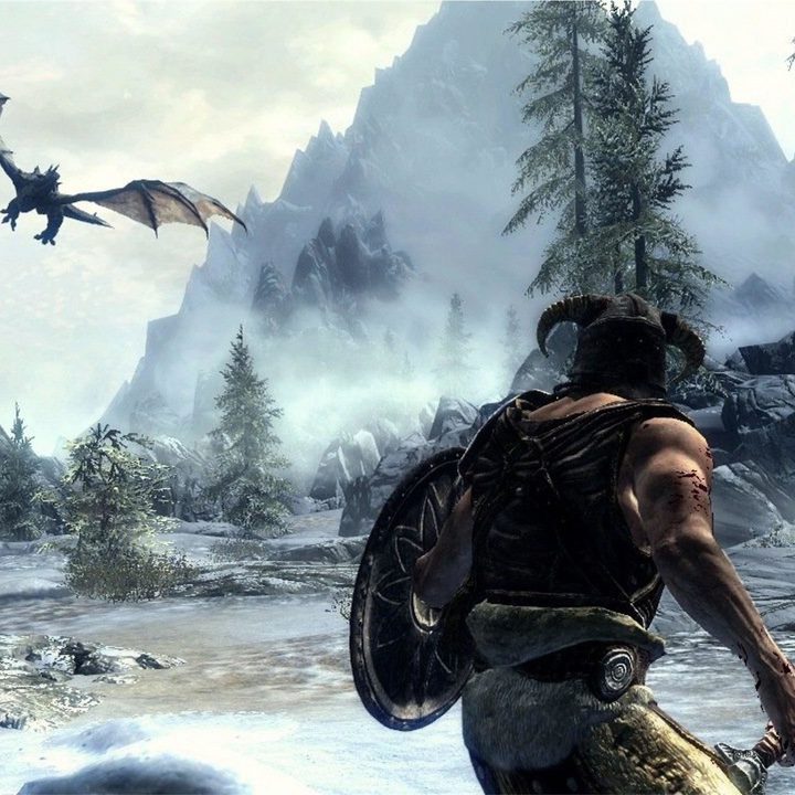 The Dragonborn stares down a dragon in Skyrim