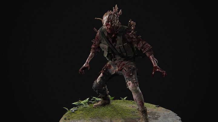 stalker in the last of us part 2
