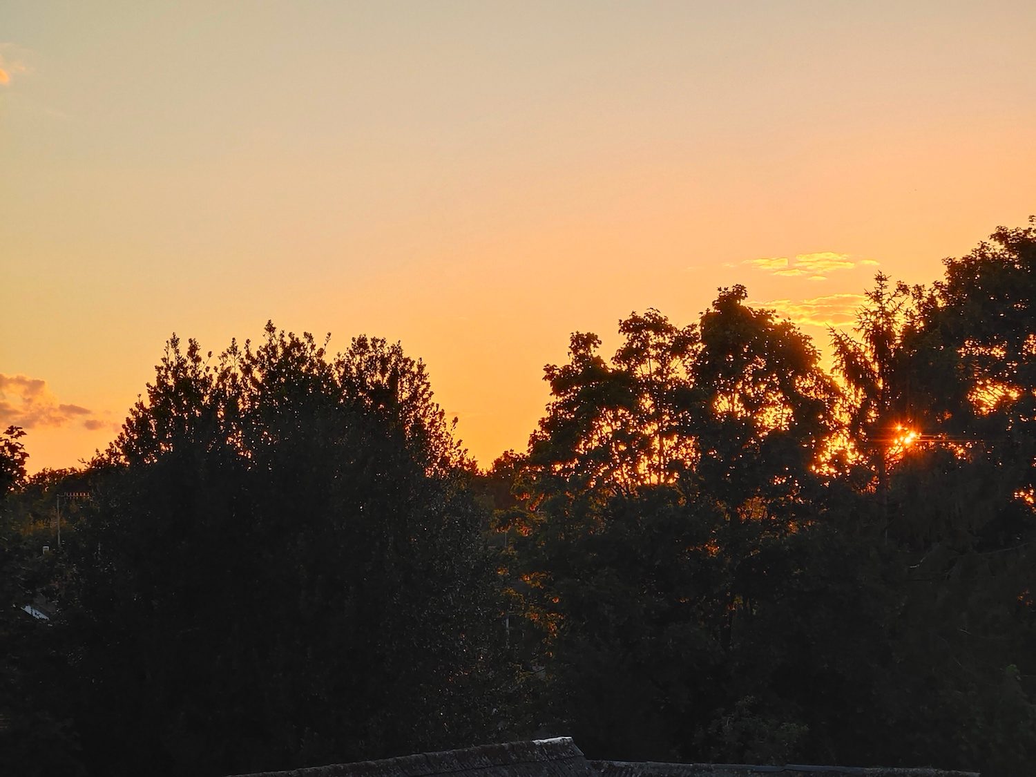 vivo x50 pro hands on review sunset