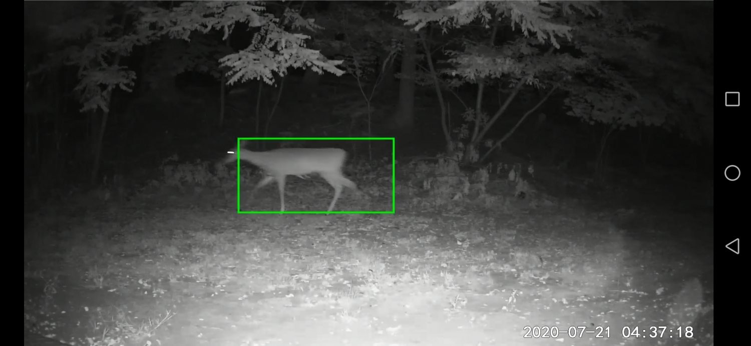 wyze cam outdoor review app 4 of