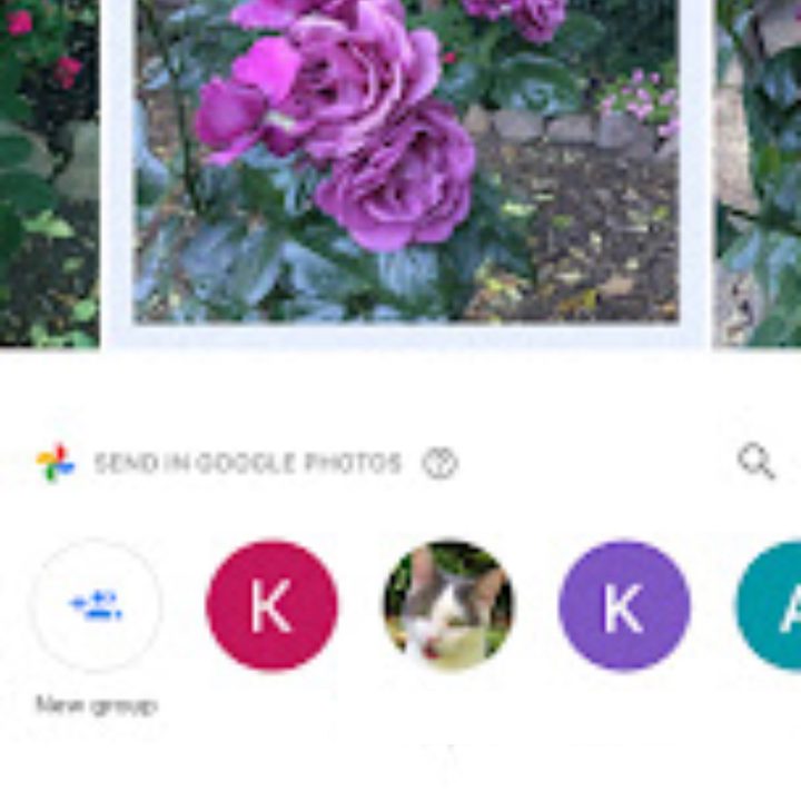 google photos tips and tricks arc2
