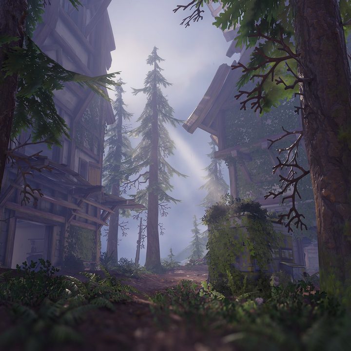 Black Forest Overwatch
