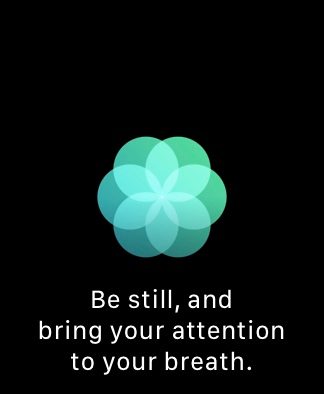how to use apple watchs fitness features breathe3