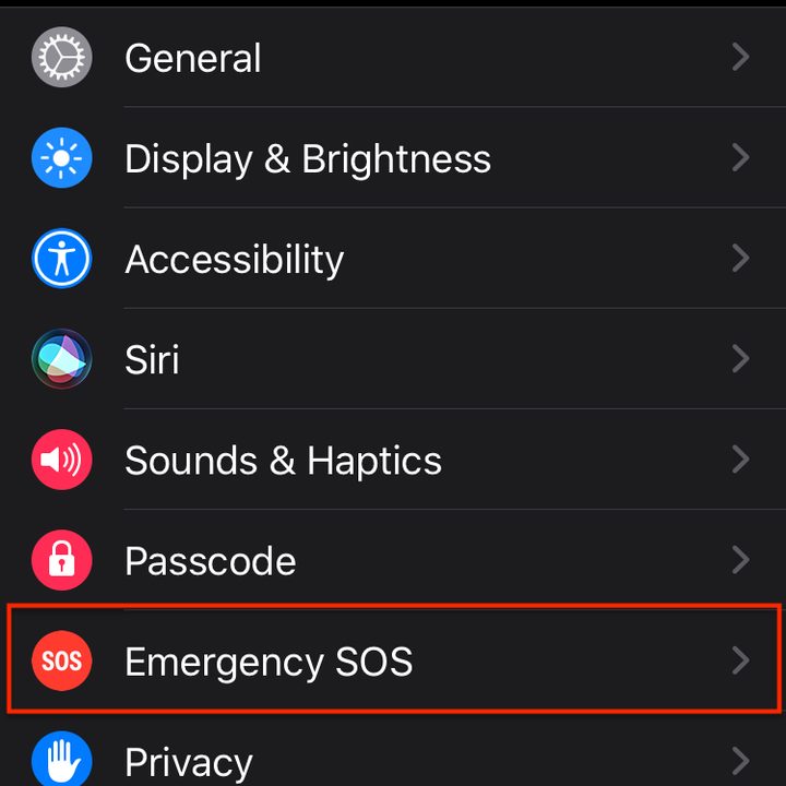 Apple Watch fall detection