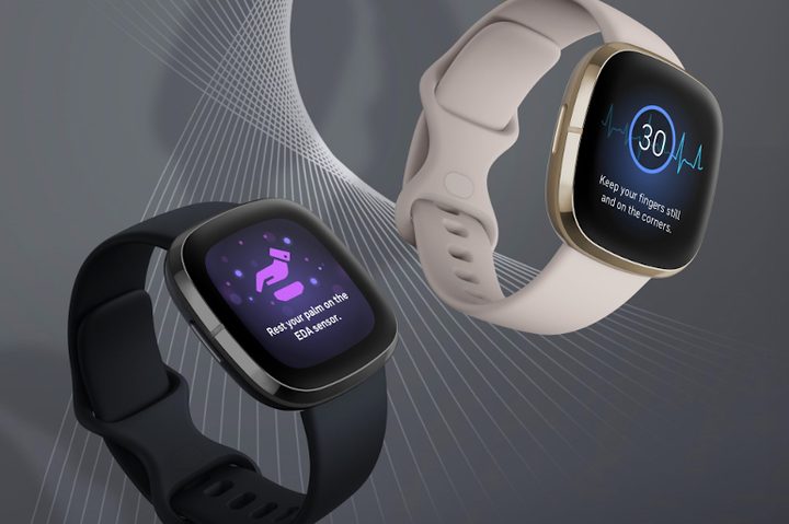 Fitbit Sense special features