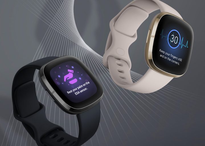 Fitbit Sense special features shown on screen.