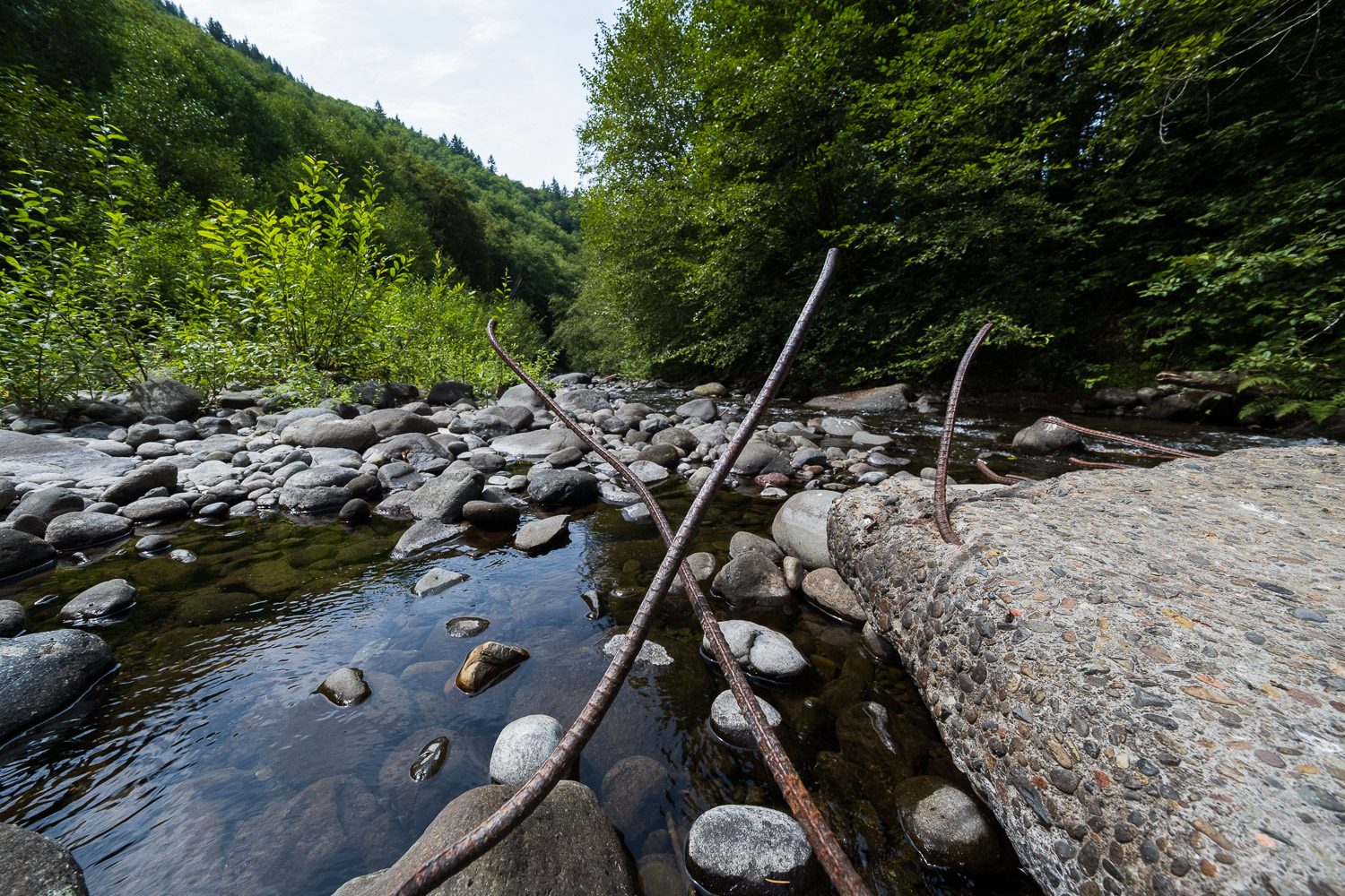 fujifilm x t4 review sample 2 dm