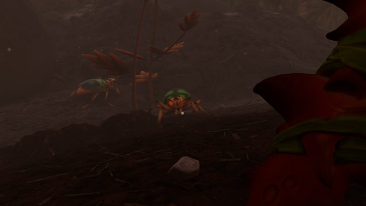 Grounded bombardier beetle location