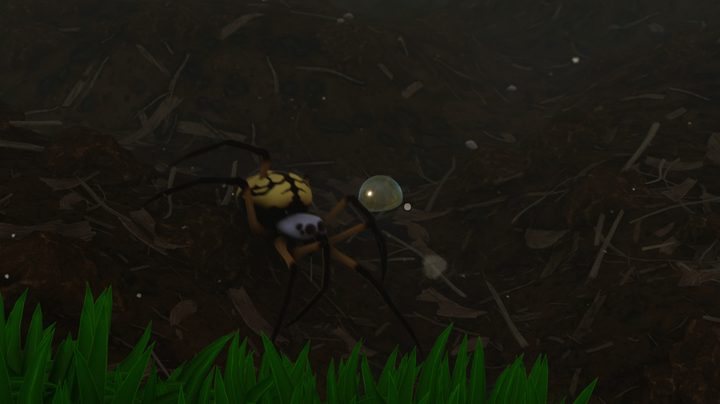 Grounded orb weaver