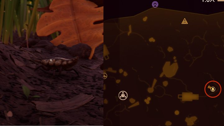 Grounded larva location