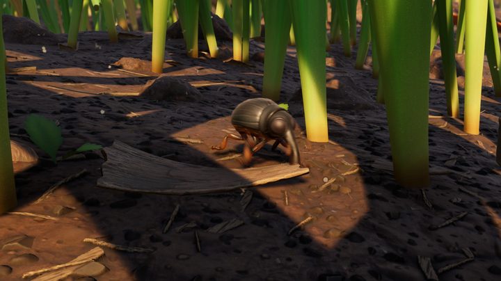 Grounded weevil location