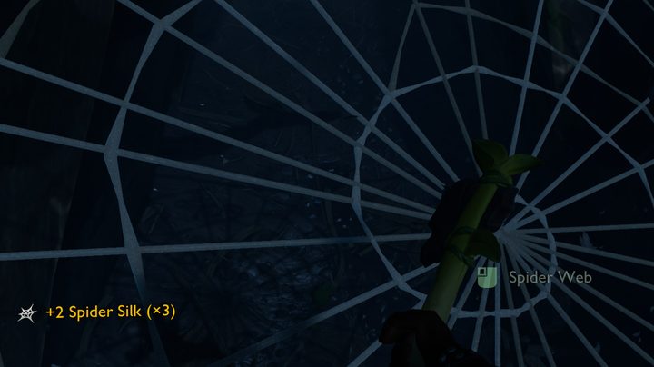 How to get Spider Silk in Grounded
