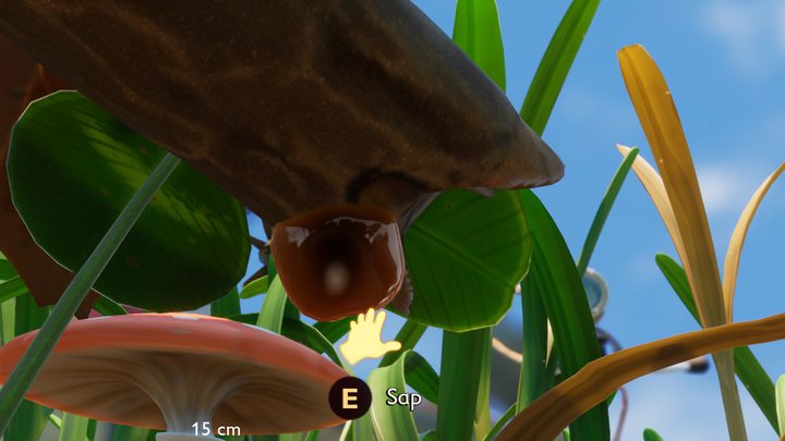 where to find sap in Grounded