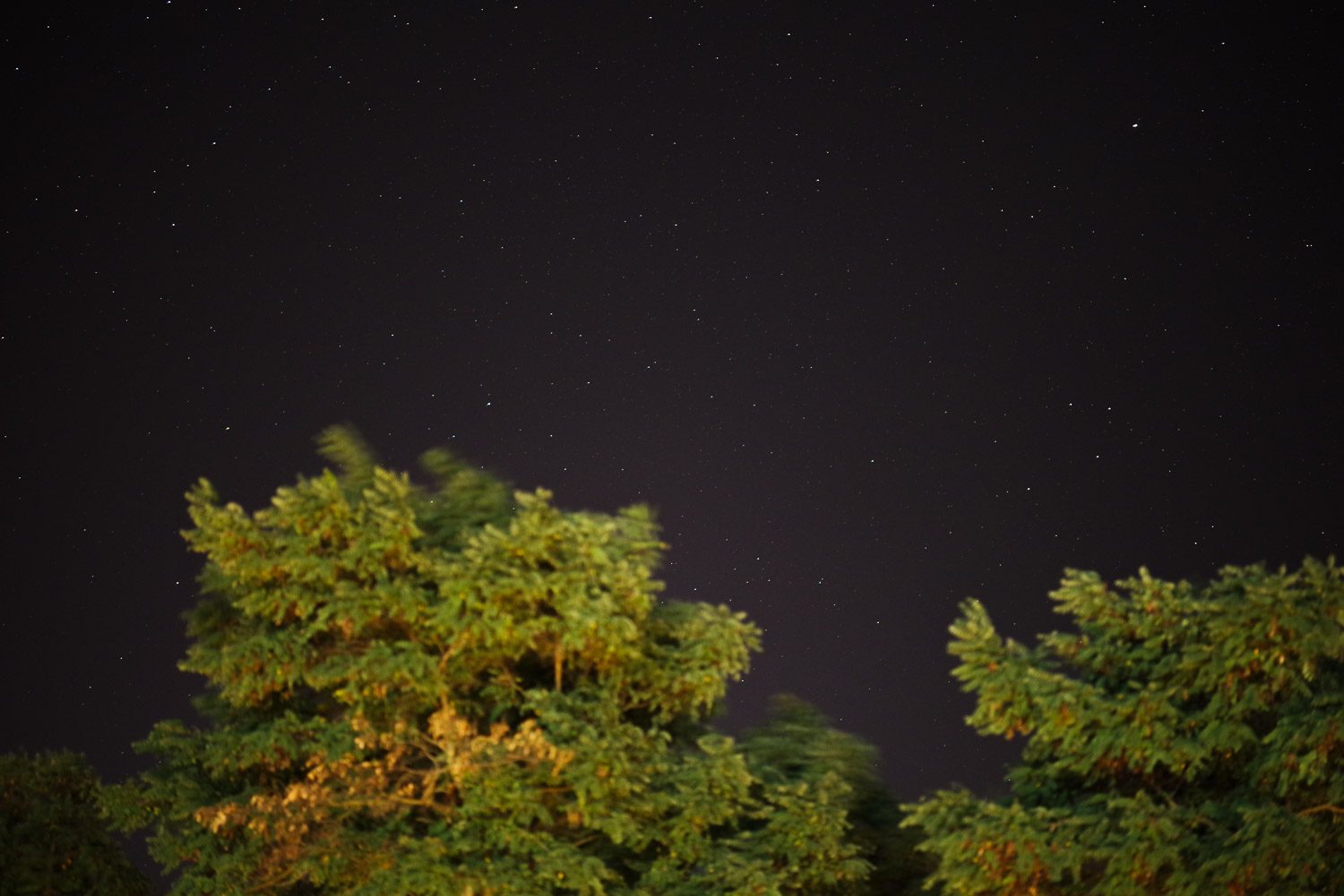 pentax d fa star series 85mm f14 review hd sample 20