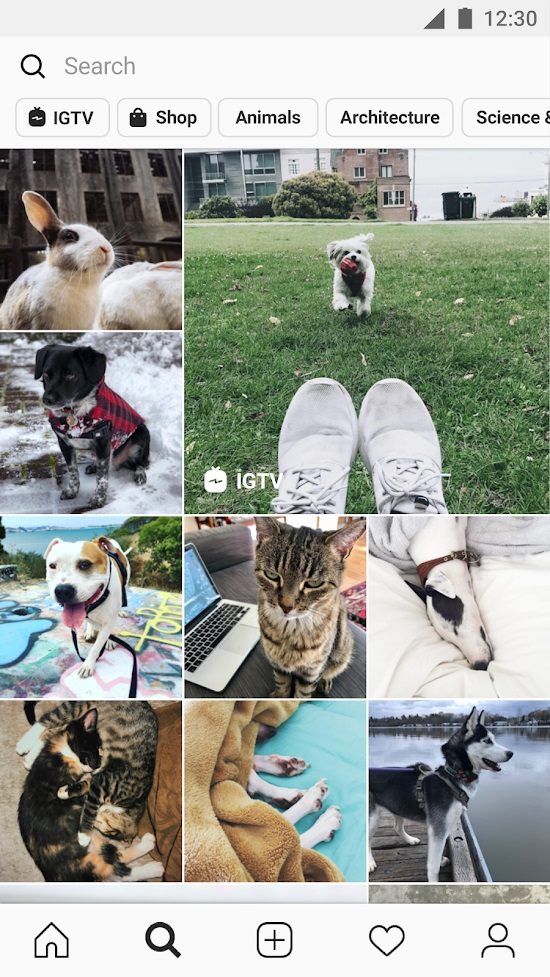 best tiktok alternative apps ig3