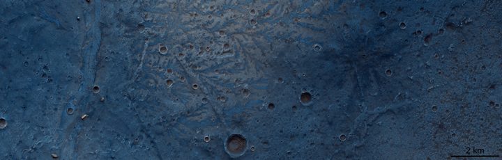 Leaf-like structures in Antoniadi impact crater