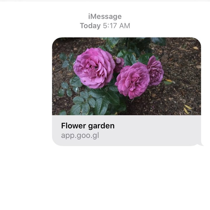 google photos tips and tricks link11
