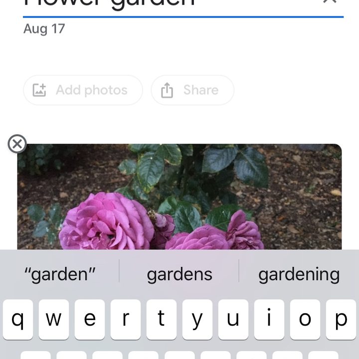 google photos tips and tricks link33