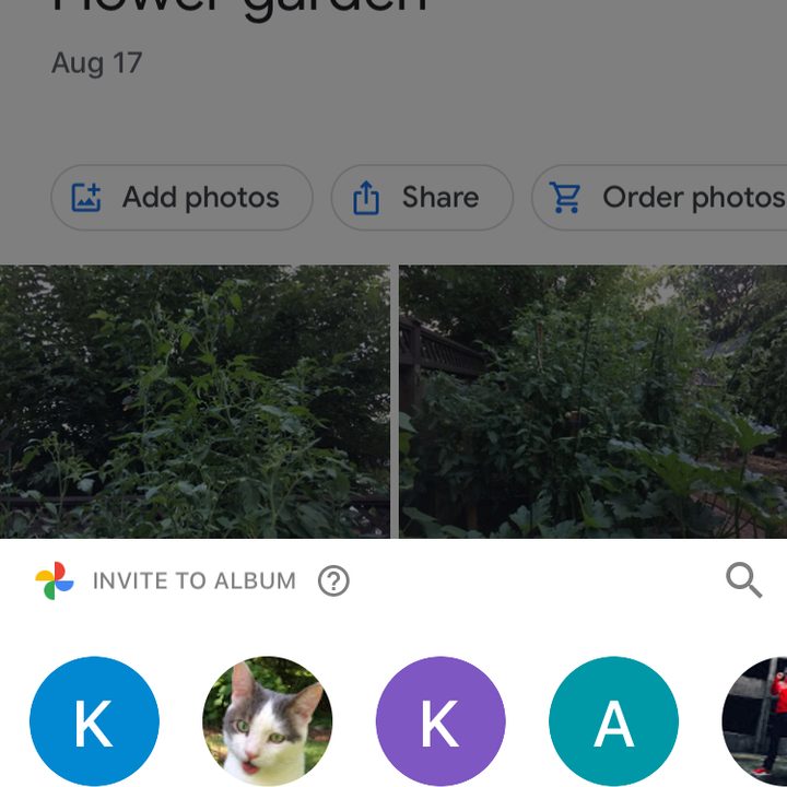 google photos tips and tricks link5
