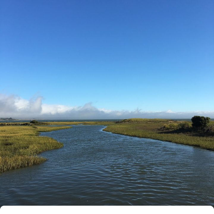 google photos tips and tricks mem3