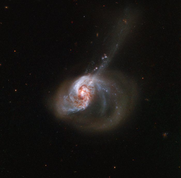 NGC 1614, captured here by the NASA/ESA Hubble Space Telescope