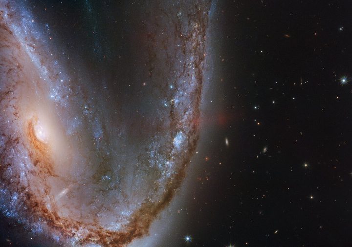 This image from the NASA/ESA Hubble Space Telescope features the spectacular galaxy NGC 2442.