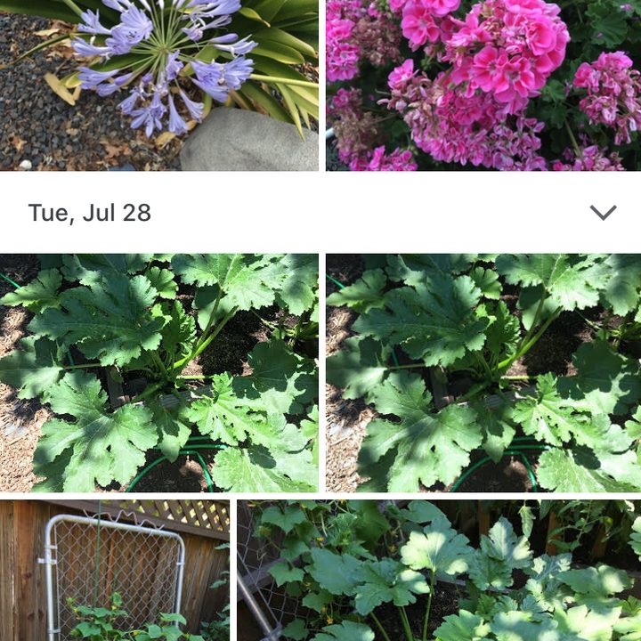 google photos tips and tricks storage4
