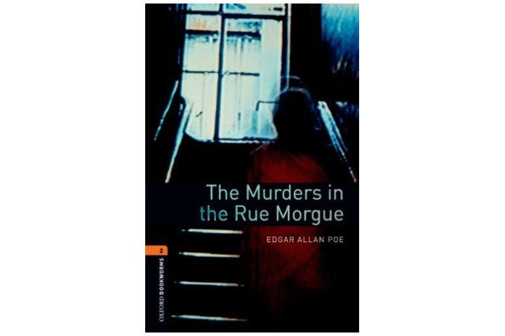 Picture shows the book cover with the shadow of a person going up a dark staircase towards a bright window at the top, and the book title underneath this
