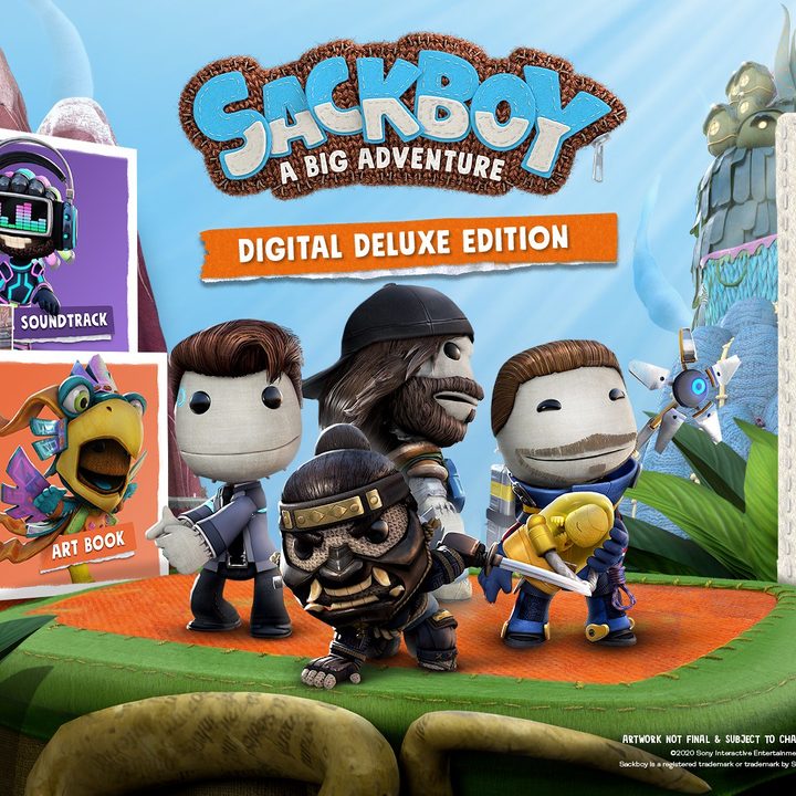 Sackboy