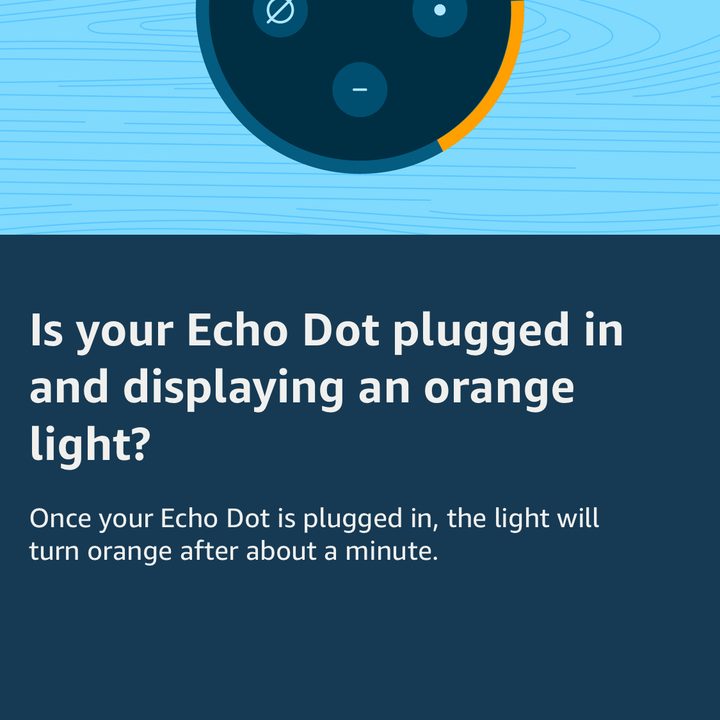 Amazon Alexa iPhone Confirm Device