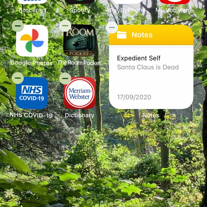 Best iOS 14 widgets Merriam-Webster Word of the Day