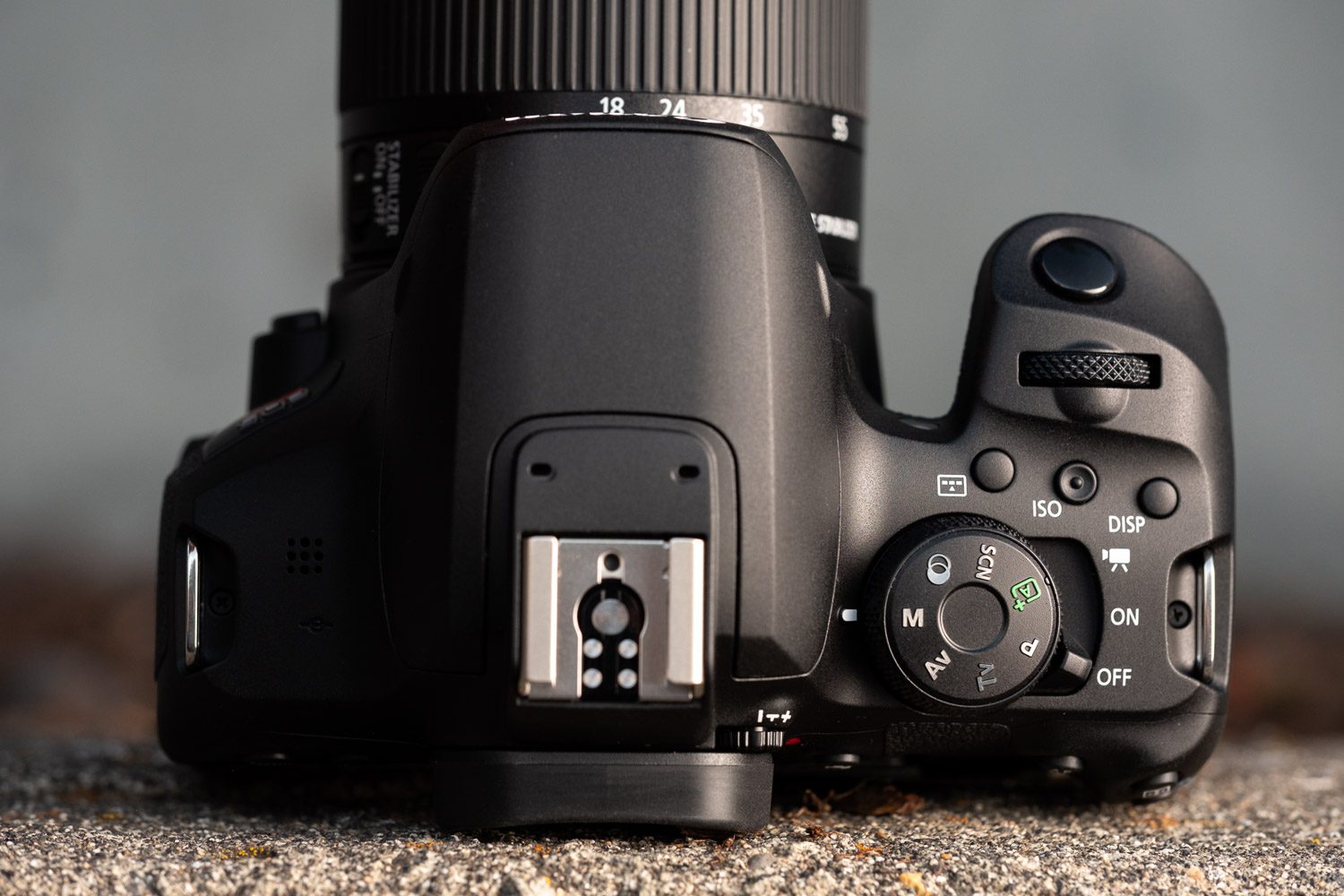 Product photo of Canon EOS Rebel T8i, top