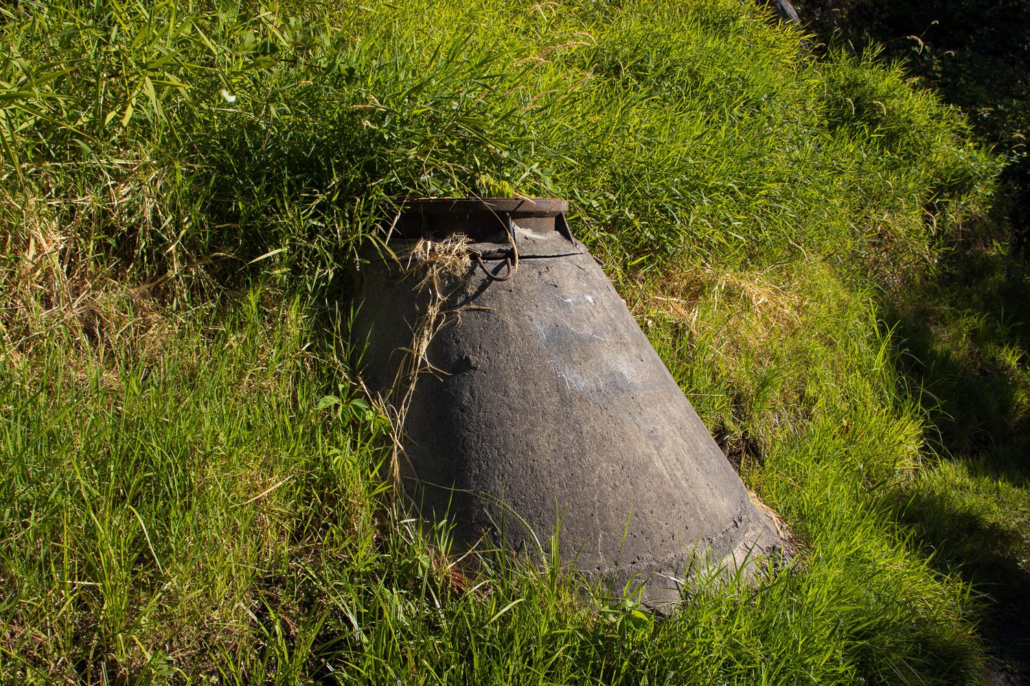 Sample image shot on Canon EOS Rebel T8i
