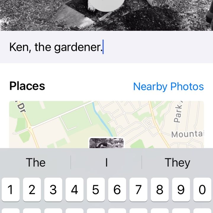 Writing a photo caption in iOS14/