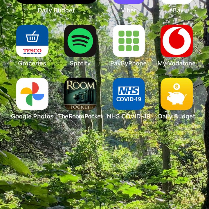 Daily Budget Original widget