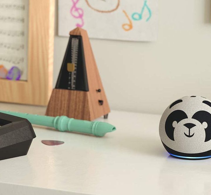 Echo Dot Kids Edition Panda